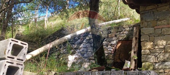 Terreno en Monterosso al Mare, Italy 3500 m² No. 295038 5