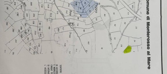 Terreno en Monterosso al Mare, Italy 3500 m² No. 295038 25