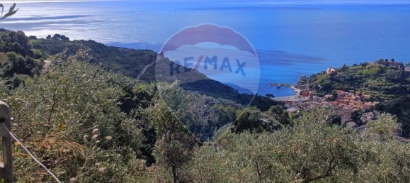 Terreno en Monterosso al Mare, Italy 3500 m² No. 295038 15