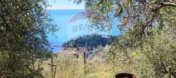 Terreno en Monterosso al Mare, Italy 3500 m² No. 295038 14