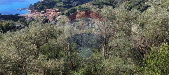 Terreno en Monterosso al Mare, Italy 3500 m² No. 295038 11