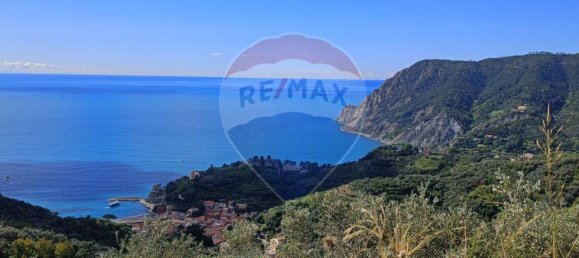 Terreno en Monterosso al Mare, Italy 3500 m² No. 295038 10