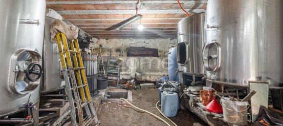 6 غرف نوم منزل في Terras de Bouro, Portugal رقم 41413 11