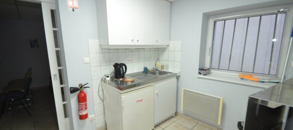 Коммерческая недвижимость 165м² в Риксхайм, Франция № 88390 3