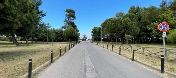 2 rooms Apartment in Montesilvano, Italy No. 25244 3