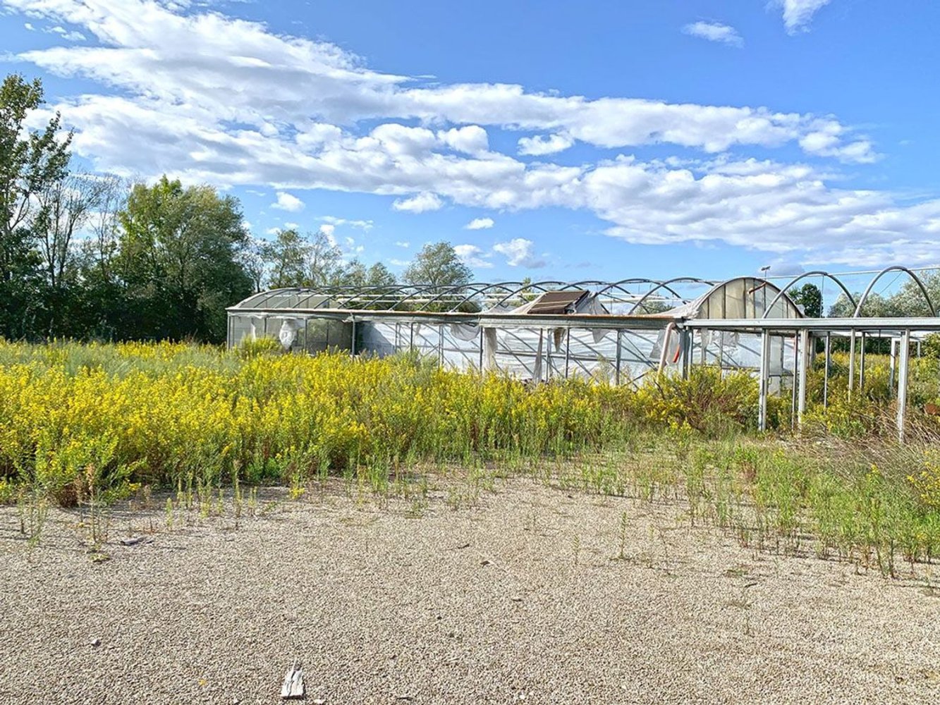 Земельный участок 59539м² в Ареццо, Италия № 342953