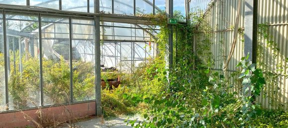 Земельный участок 59539м² в Ареццо, Италия № 342953 20