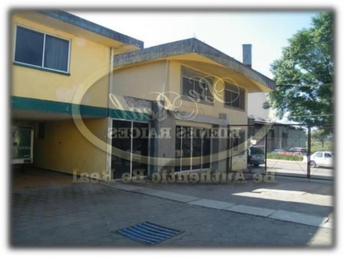  Building in Tijuana, Mexico No. 200355