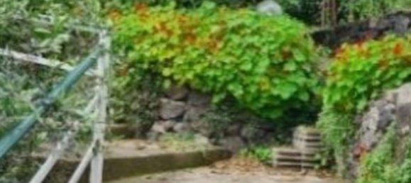 235m² Commercial property in Ischia, Italy No. 12525 27