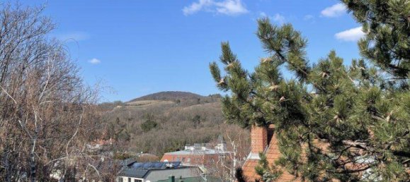 3-Zimmer Penthouse in Döbling, Austria, Nr. 227096 6