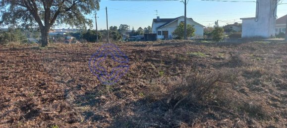 Terreno em Tomar, Portugal 7050 m² N.º 79624 14