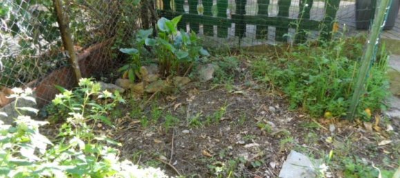 4 rooms House in Villa Faraldi, Italy No. 230493 6