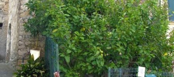 4 rooms House in Villa Faraldi, Italy No. 230493 4