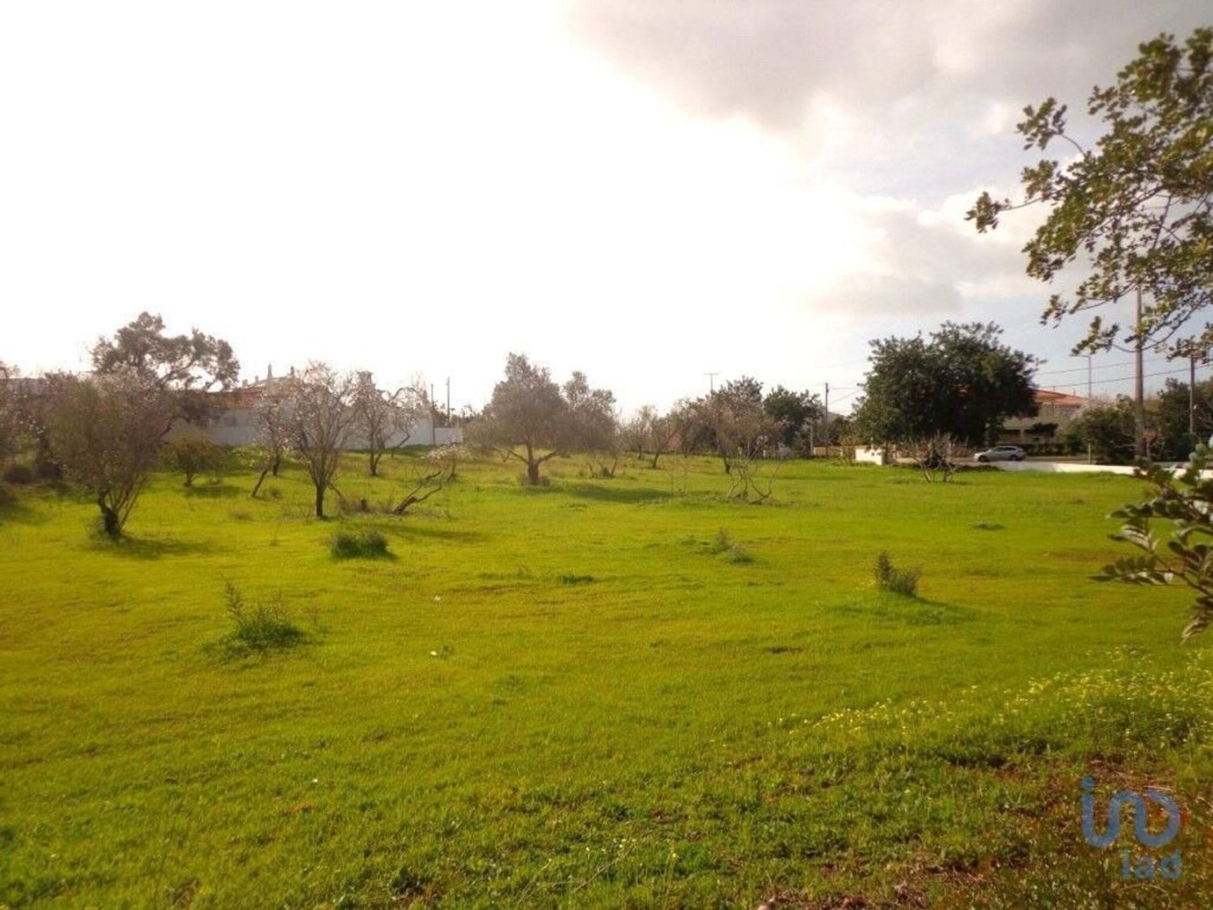 4530m² Land in Loule, Portugal No. 139267