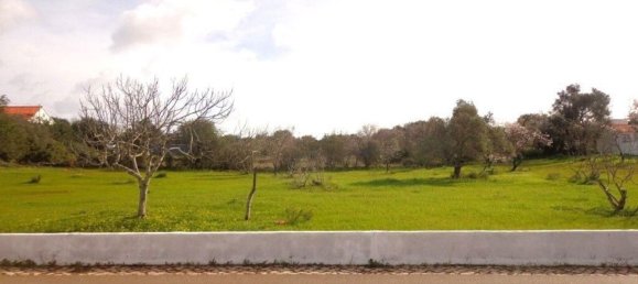 4530m² Land in Loule, Portugal No. 139267 2