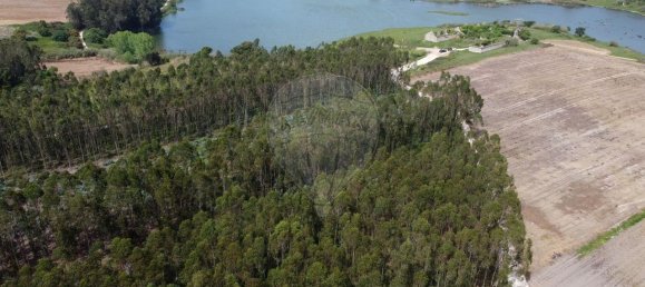 Дом с 9 спальнями в Atouguia da Baleia, Португалия № 17926 11