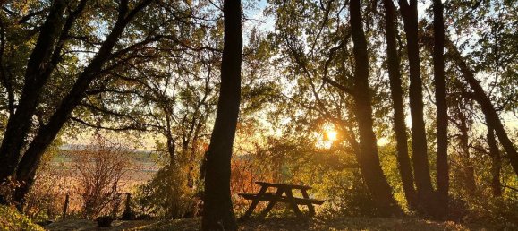 4 bedrooms House in Chateauneuf-du-Rhone, France No. 317130 12