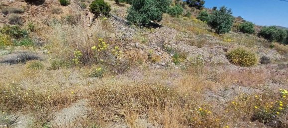  قطعة أرض في Moclinejo, Spain 26000متر مربع رقم 156890 13