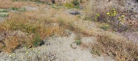  قطعة أرض في Moclinejo, Spain 26000متر مربع رقم 156890 20