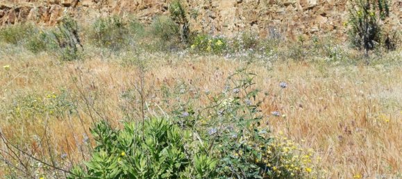  قطعة أرض في Moclinejo, Spain 26000متر مربع رقم 156890 23