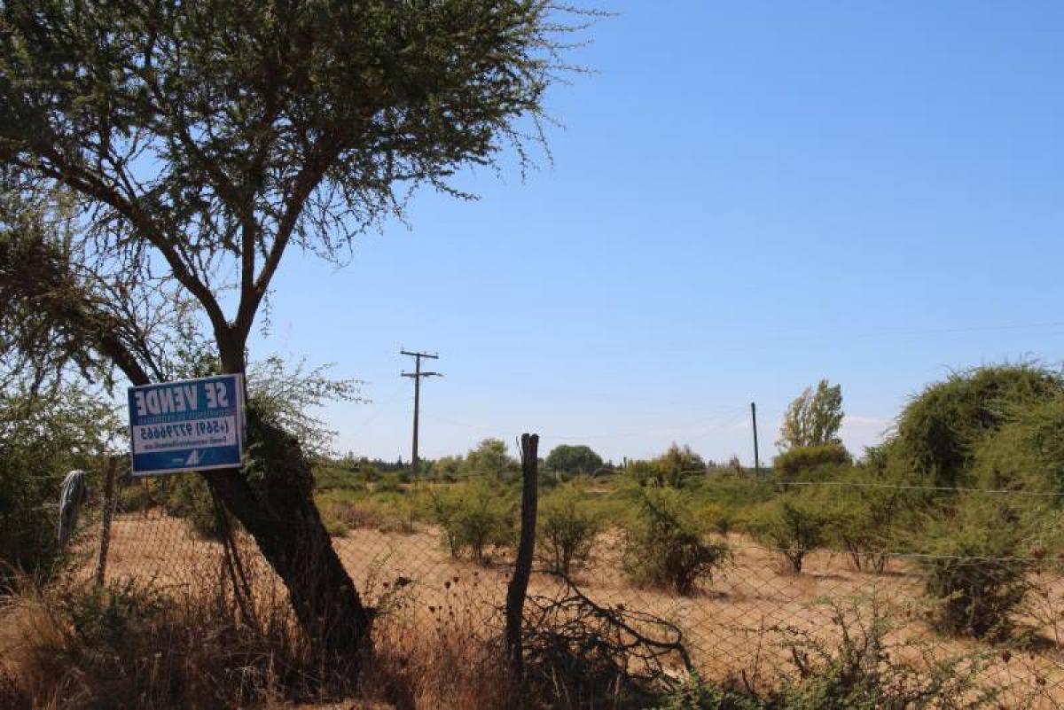  Land in Maule, Chile No. 859