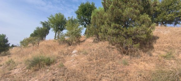 Terreno en Chinchón, Spain No. 189058 9