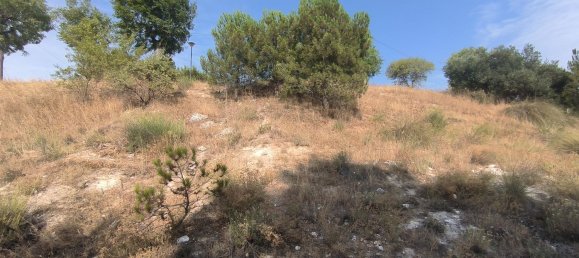 Terreno en Chinchón, Spain No. 189058 10