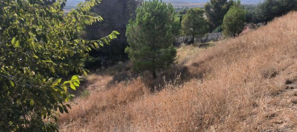 Terreno en Chinchón, Spain No. 189058 2