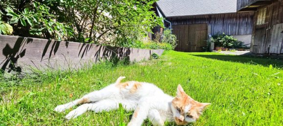 6 rooms House in Kottes-Purk, Austria No. 243005 14