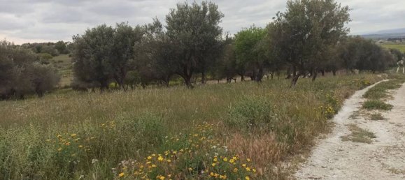 Дом с 1 спальней в Пакино, Италия № 60406 13