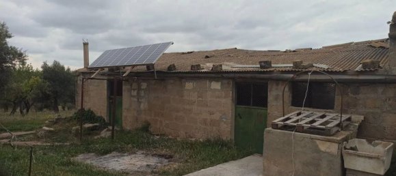 Дом с 1 спальней в Пакино, Италия № 60406 7