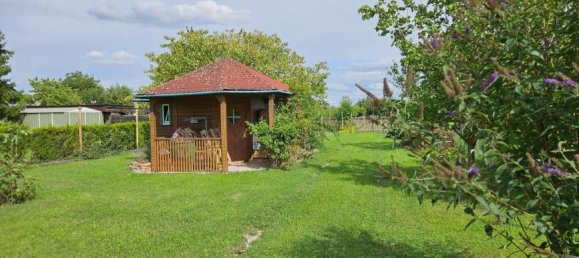 3 bedrooms House in Grossharras, Austria No. 206874 23