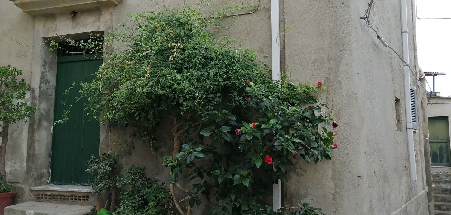 6 bedrooms House in Ricadi, Italy No. 369737