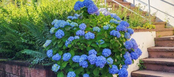 8غرفة تاون هاوس في Rhein-Neckar-Kreis, Germany رقم 350162 4