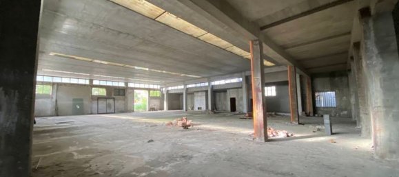 1250m² Warehouse in Piacenza, Italy No. 65410 5