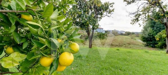 4 bedrooms House in Braga, Portugal No. 158775 9