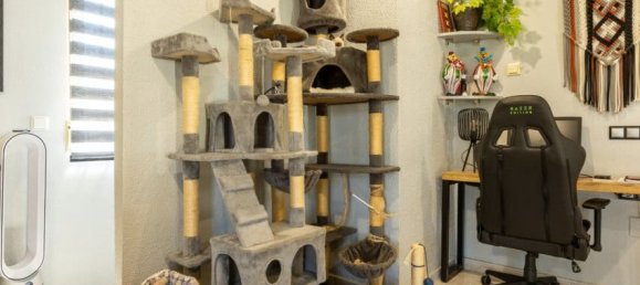 5 bedrooms House in Benijofar, Spain No. 134542 16