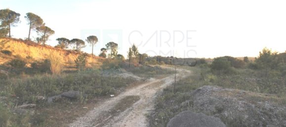  قطعة أرض في Cernache, Portugal رقم 73986 3
