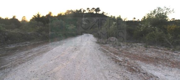  قطعة أرض في Cernache, Portugal رقم 73986 8