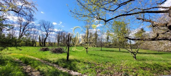 5 bedrooms House in Richelieu, France No. 75897 26