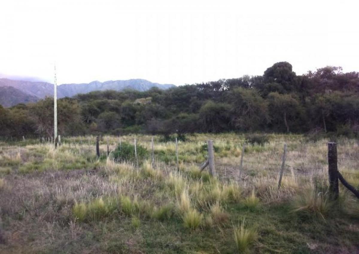  Land in San Luis, Argentina No. 38251