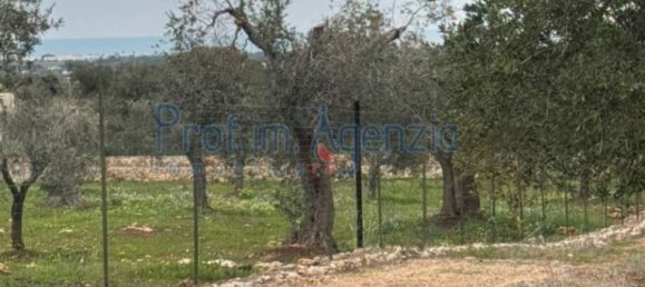 Estúdio em Carovigno, Italy N.º 110534 7