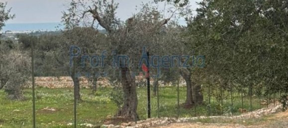 Estúdio em Carovigno, Italy N.º 110534 6