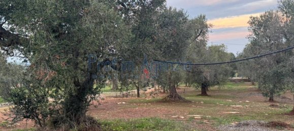 Estúdio em Carovigno, Italy N.º 110534 15