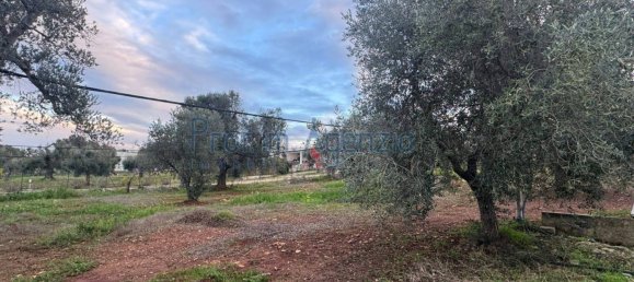 Estúdio em Carovigno, Italy N.º 110534 12