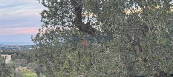 Estúdio em Carovigno, Italy N.º 110534 5