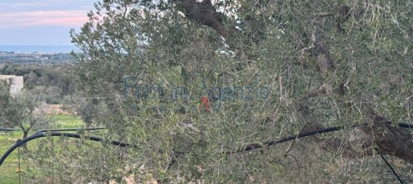 Estúdio em Carovigno, Italy N.º 110534 14