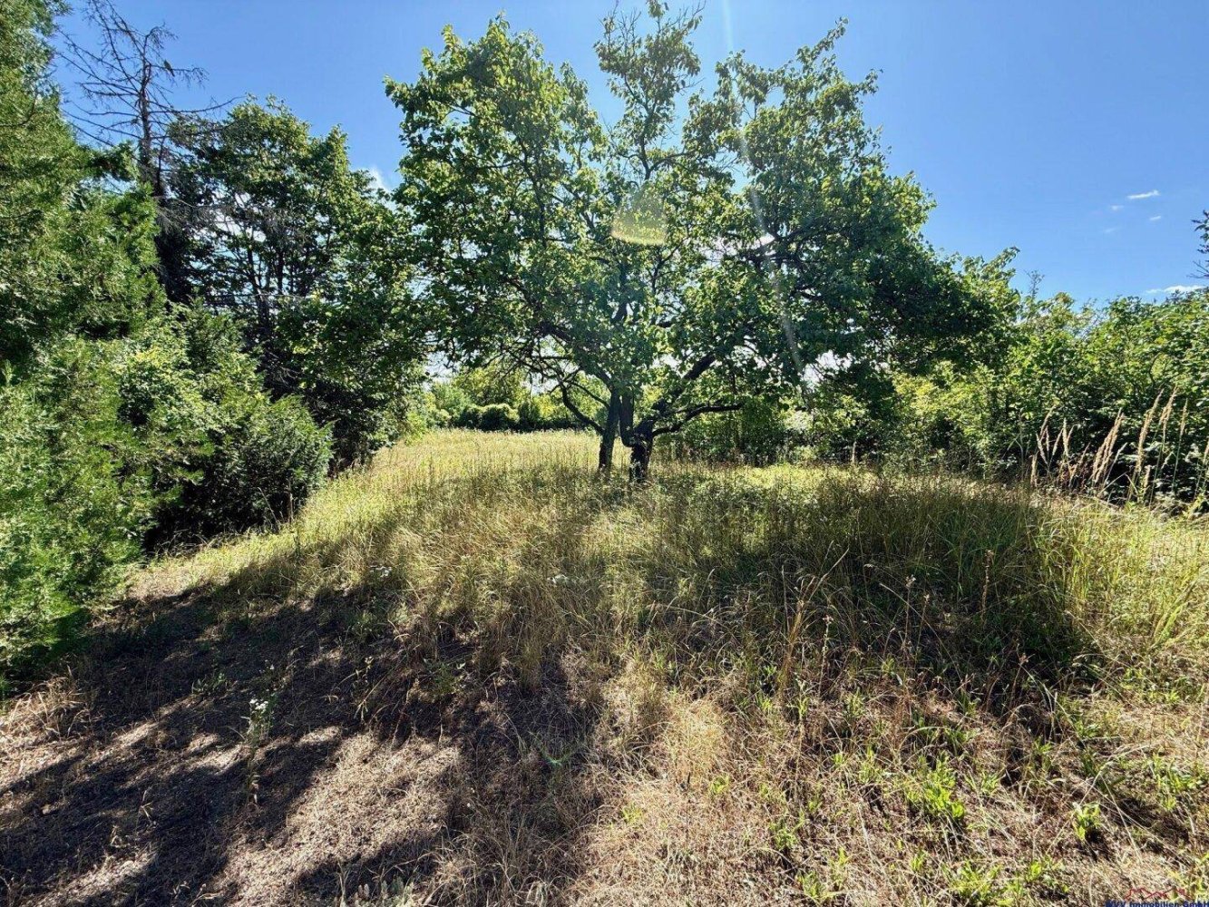 6-salle Terrain à Hagenbrunn, Austria No. 222742