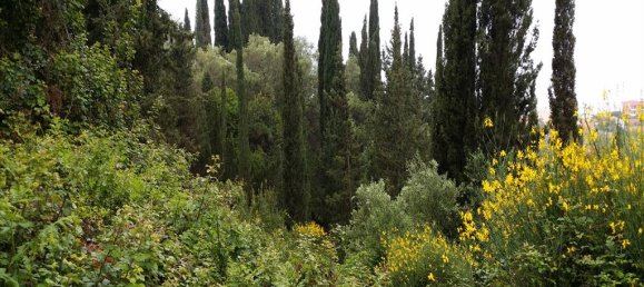  فندق في Corfu, Greece 3200متر مربع رقم 7894 4