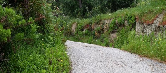 3200m² Hotel in Corfu, Greece No. 7894 3